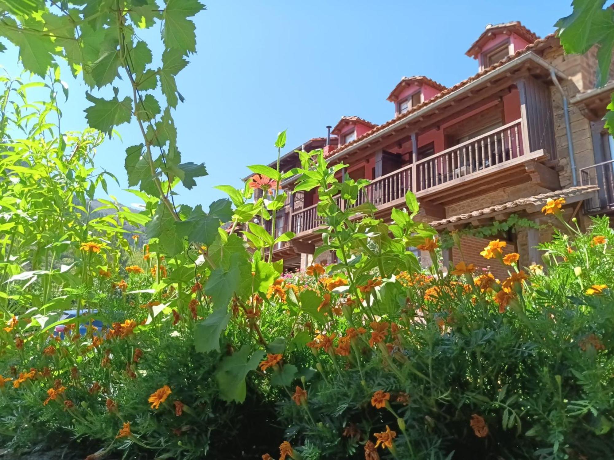 Apartamentos Calm & Nature - Adults Only Cabezón de Liébana Esterno foto